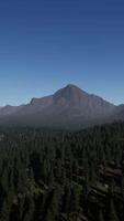 An aerial view of a forest with mountains in the background video