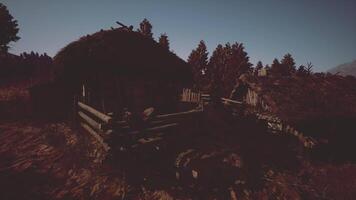 Rustic cabin surrounded by trees at dusk in a serene wilderness setting video