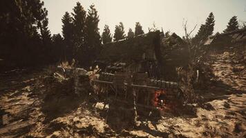 A rustic cabin surrounded by dense trees during a sunny afternoon in nature video