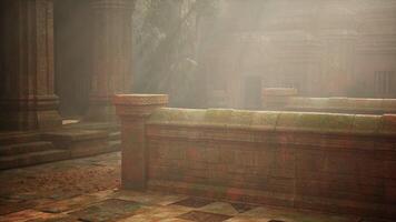 Sunlight Filtering Through the Jungle Onto a Mayan Temple video