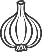 A garlic bulb is shown in a black and white drawing vector