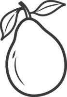 A pear is shown in a black and white drawing vector