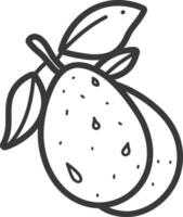 A black and white drawing of a mango vector