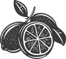 A black and white illustration of a lemon vector