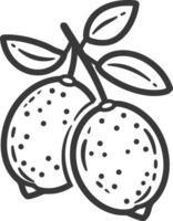 A lemon with leaves and fruit on a branch vector