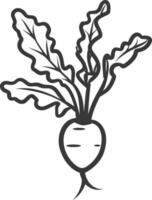 A black and white drawing of a beetroot vector