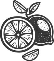 A black and white drawing of a lemon vector