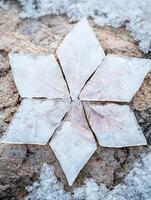 Intricate ice crystal formation on snowy ground photo