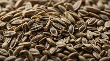 A close-up of various seeds, showcasing their texture and natural patterns. photo