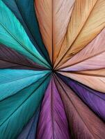 Vibrant feather pattern abstract background photo
