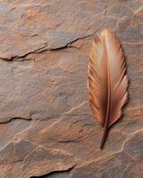 Feather on rocky surface photo