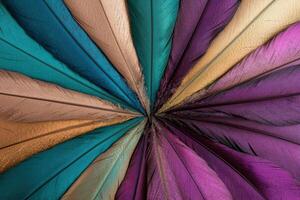 Vibrant Feather Texture Abstract Design photo
