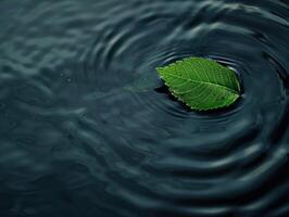 green leaf floating on dark water photo