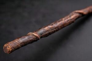 Closeup of a weathered wooden stick or branch photo