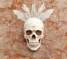Skull with feathers on rustic background photo