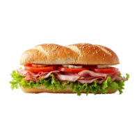 Pulled pork sandwich isolated on transparent background with clipping path. png