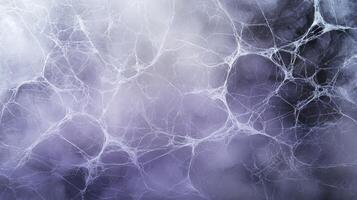Intricate web of icy fractures photo