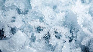 Intricate ice crystals in a winter wonderland photo