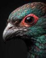 Vibrant Feathers and Piercing Eyes of a Majestic Bird photo