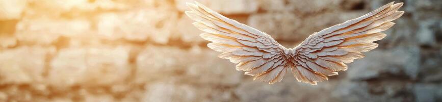 Ethereal angel wings against a warm, blurred background photo