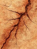 Intricate patterns of cracked earth photo