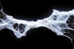 Intricate web of ice crystals against a dark background photo