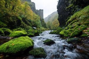 Lush green forest stream and castle photo