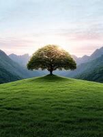 Lone tree on a grassy hill with mountains in the background photo