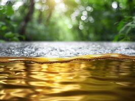 Serene forest stream with golden reflections photo