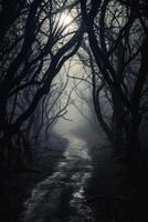 Mysterious forest path in the mist photo