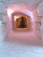 Enchanting winter wonderland with illuminated christmas tree photo