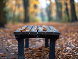 Weathered wooden bench in autumn forest photo