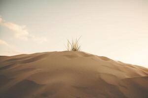 Serene desert landscape with sand dunes and lone plant photo