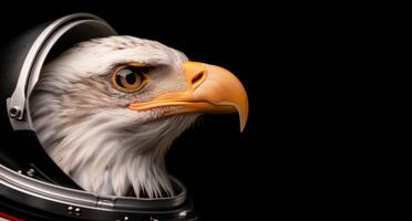 close up of a bald eagle in a space helmet photo