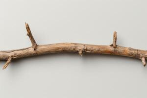 Weathered wooden branch on plain background photo