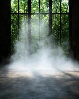 Misty forest scene with sunbeams shining through the trees photo