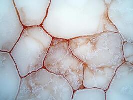 Intricate patterns of ice crystals photo