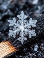 Intricate snowflake on frozen surface photo