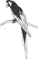 geometric art design parrot perched on a branch vector