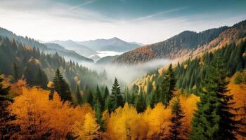 Autumn mountain landscape. Misty autumn foggy mountain landscape with fir forest and copy space. Sunset landscape of mountains woods nature in fall season. Colorful forest with yellow canopies in fall photo