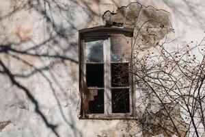 Abandoned building with a broken window surrounded by tangled branches in late autumn light photo