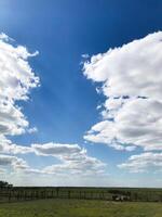 Scenic countryside with blue sky and fluffy clouds above, Askania Nova, Ukraine. photo