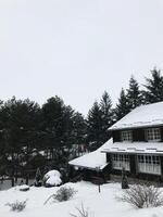 Snow-covered cabin in a winter forest setting with pine trees photo