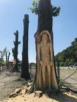 Intricate wooden tree carvings in outdoor natural setting photo