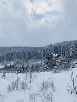 Snow-covered landscape with forest and isolated red cabin photo
