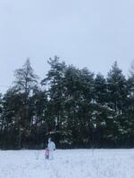 Parent and child enjoying a snowy winter day in the forest photo
