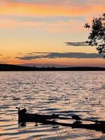 Tranquil sunset over a peaceful lake with silhouetted birds photo