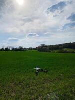 Person relaxing in a peaceful green meadow under a sunny sky photo