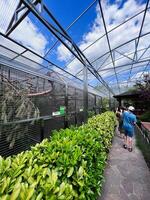 Visitors exploring a botanical garden walkthrough aviary photo