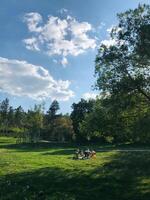 Family enjoying a picnic in a sunny park setting photo